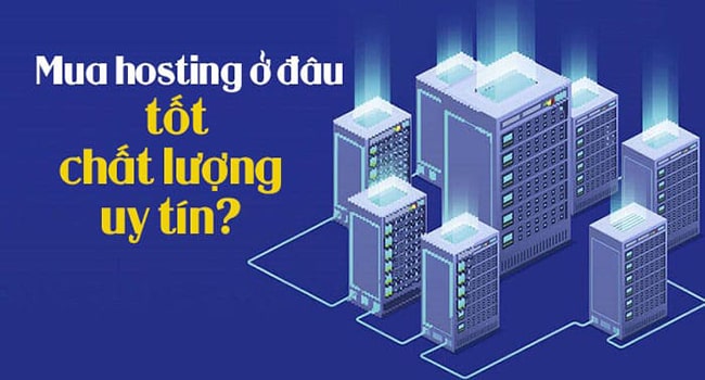 Mua website hosting ở đâu uy tín?